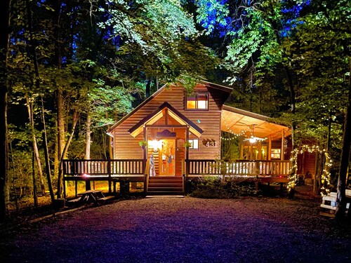 Bordering The National Forest. The Bear Affair Cabin.