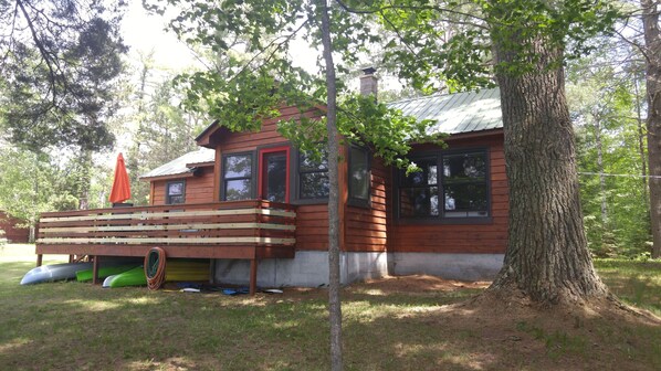 A cabin with a wooden exterior, a porch with a bench, and a tree in front. - Lakeside cabin retreat; perfect getaway for winter sports, four seasons of fun (Hayward)