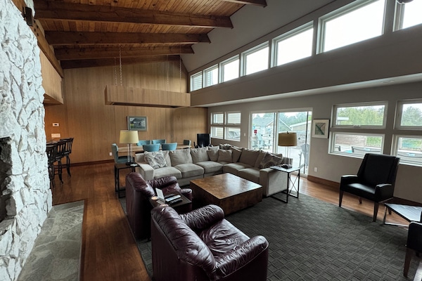 TV connectée, cheminée, lecteur de DVD, livres