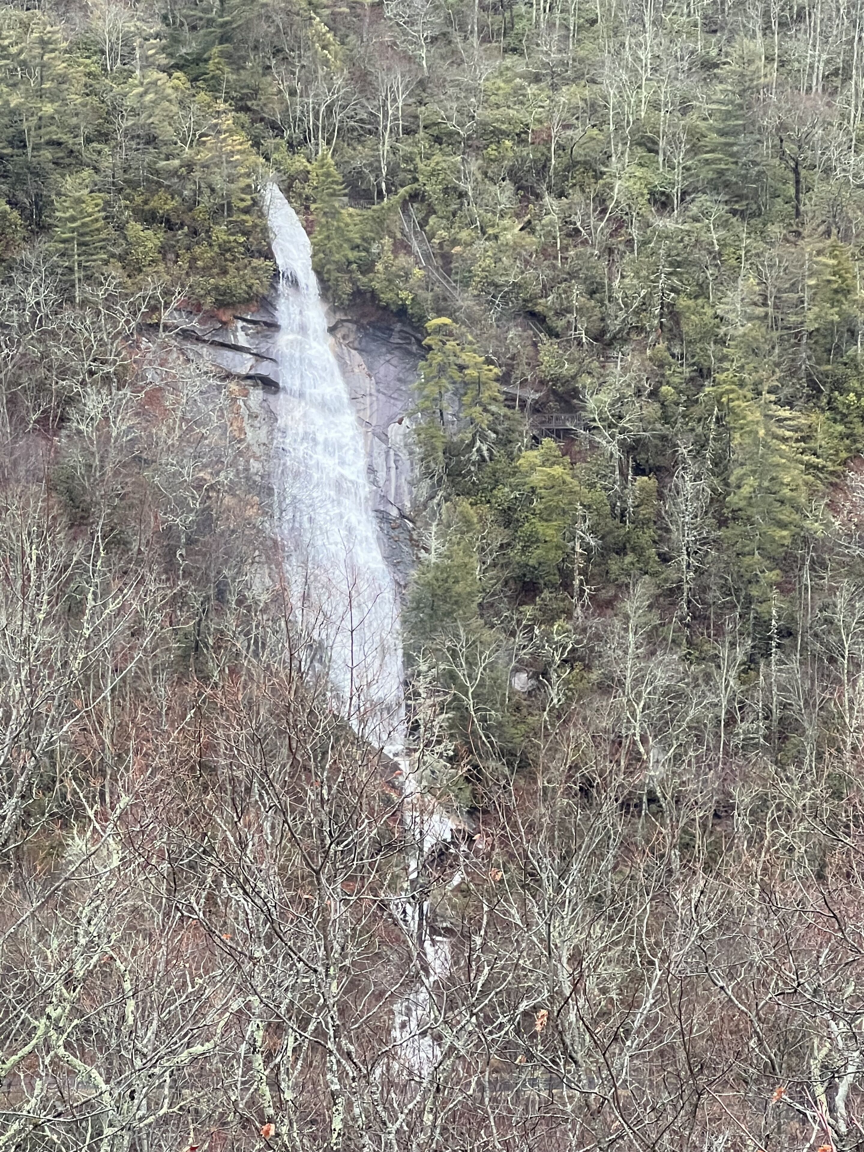 A waterfall cascading down a rocky cliff surrounded by dense forest.