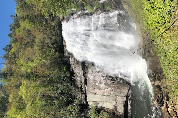 GORGES STATE PARK, JUST A FEW MILES DOWN THE ROAD, RAINBOW FALLS.