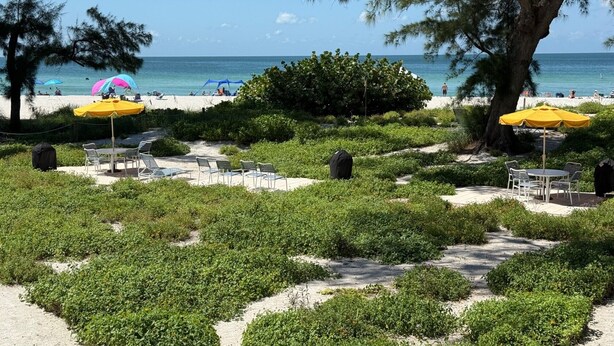 Un espace aménagé au bord de la plage, avec des sièges en plein air, des parasols et une vue sur l’océan.