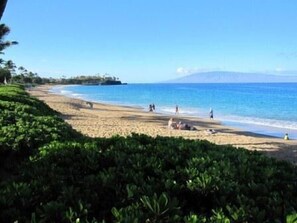 On the beach, sun-loungers, beach towels - A403 - 1 Bedroom Fully Remodeled (Lahaina)