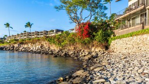 Et strandhotel med en klippefyldt kystlinje, palmer og en bygning med balkoner med udsigt over vandet.