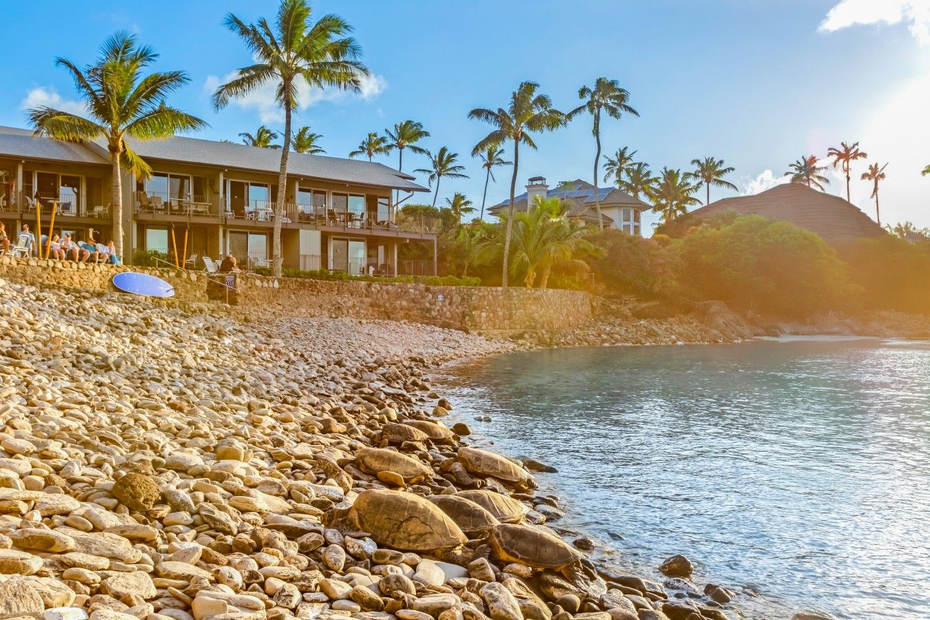 A beachfront hotel with a rocky shoreline, palm trees, and a clear sky.