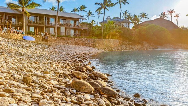 Et strandhotel med en klippefyldt kystlinje, palmer og krystalklart hav.