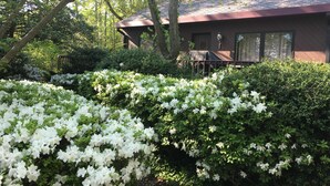 A house with a covered patio, surrounded by dense greenery and white flowering bushes. - Mountain House at the Beach! Dog Friendly, Short Walk to the Beach. (Villas)