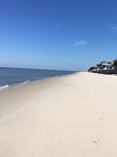 Mountain House at the Beach! Dog Friendly, Short Walk to the Beach.