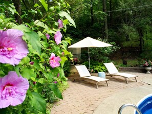 Terrace/patio - Secluded Getaway: Bear Mt, Cold Spring, Beacon, West Point!   (Garrison)