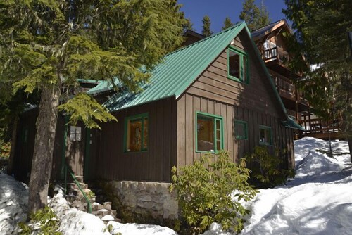 Heart of village!  Knotty pine cabin located on a creek.