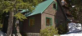 Heart of village!  Knotty pine cabin located on a creek.