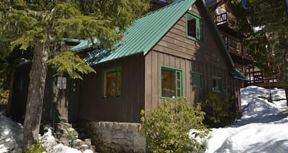 Heart of village! Knotty pine cabin located on a creek.