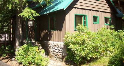 Heart of village!  Knotty pine cabin located on a creek.