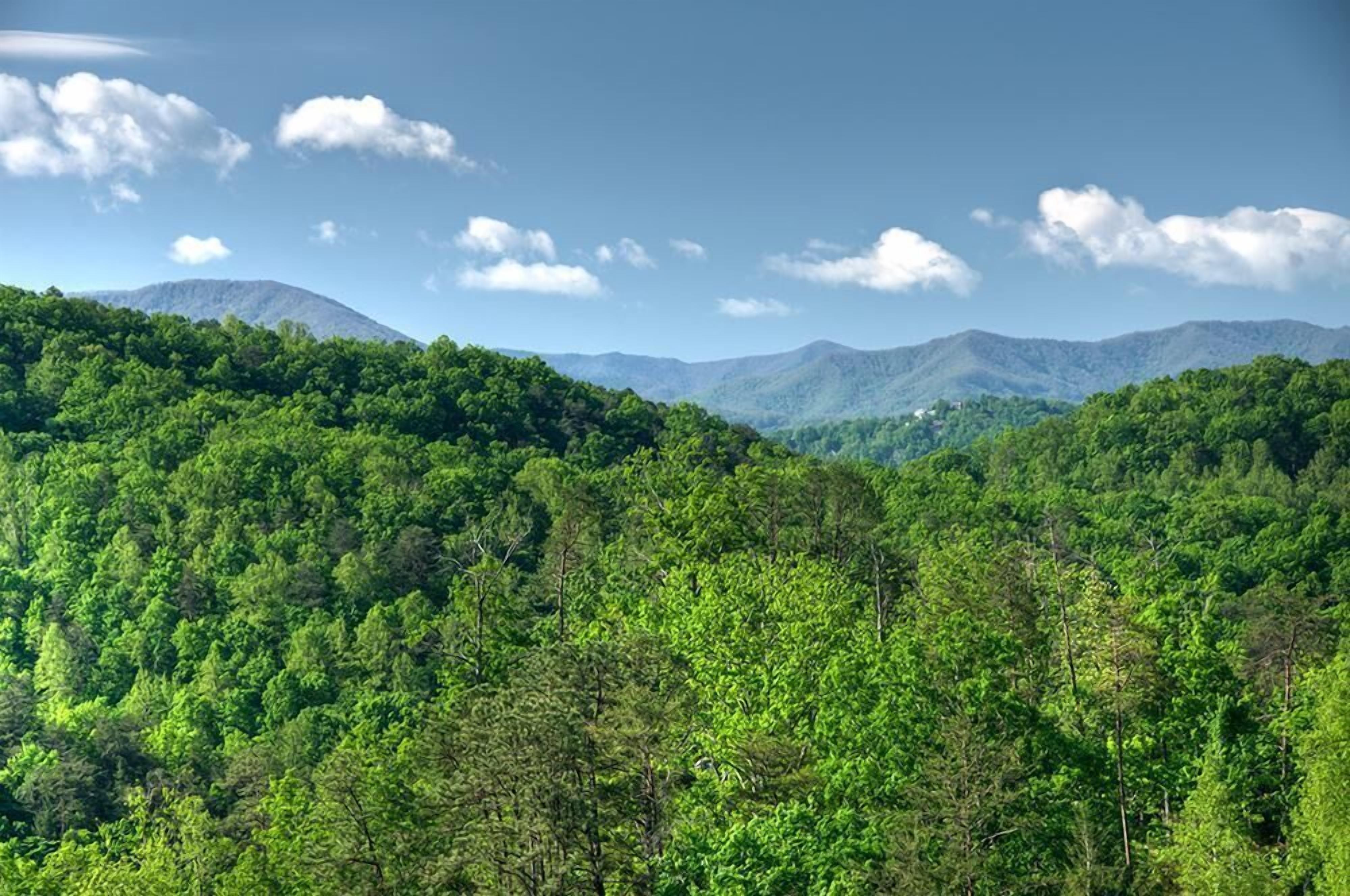 A forested mountain landscape with a clear sky.