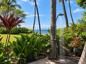 A tropical garden with a shower area, palm trees, and a view of the ocean.