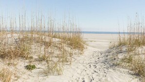 En sandstrand med gles vegetation och en klar himmel.