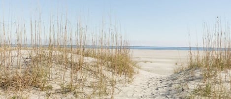 Een zandstrand met weinig begroeiing en een heldere lucht.