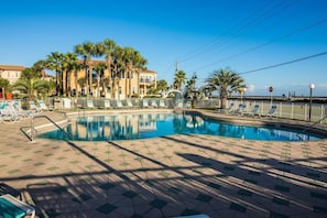 Relax by the pool surrounded by palm trees and lounge chairs.