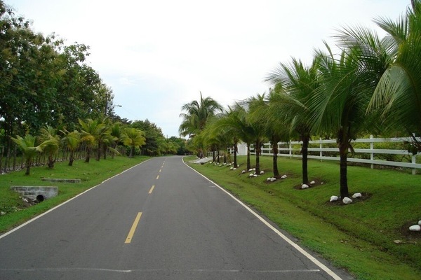 Road from the Inter-Americana Highway to the Beach