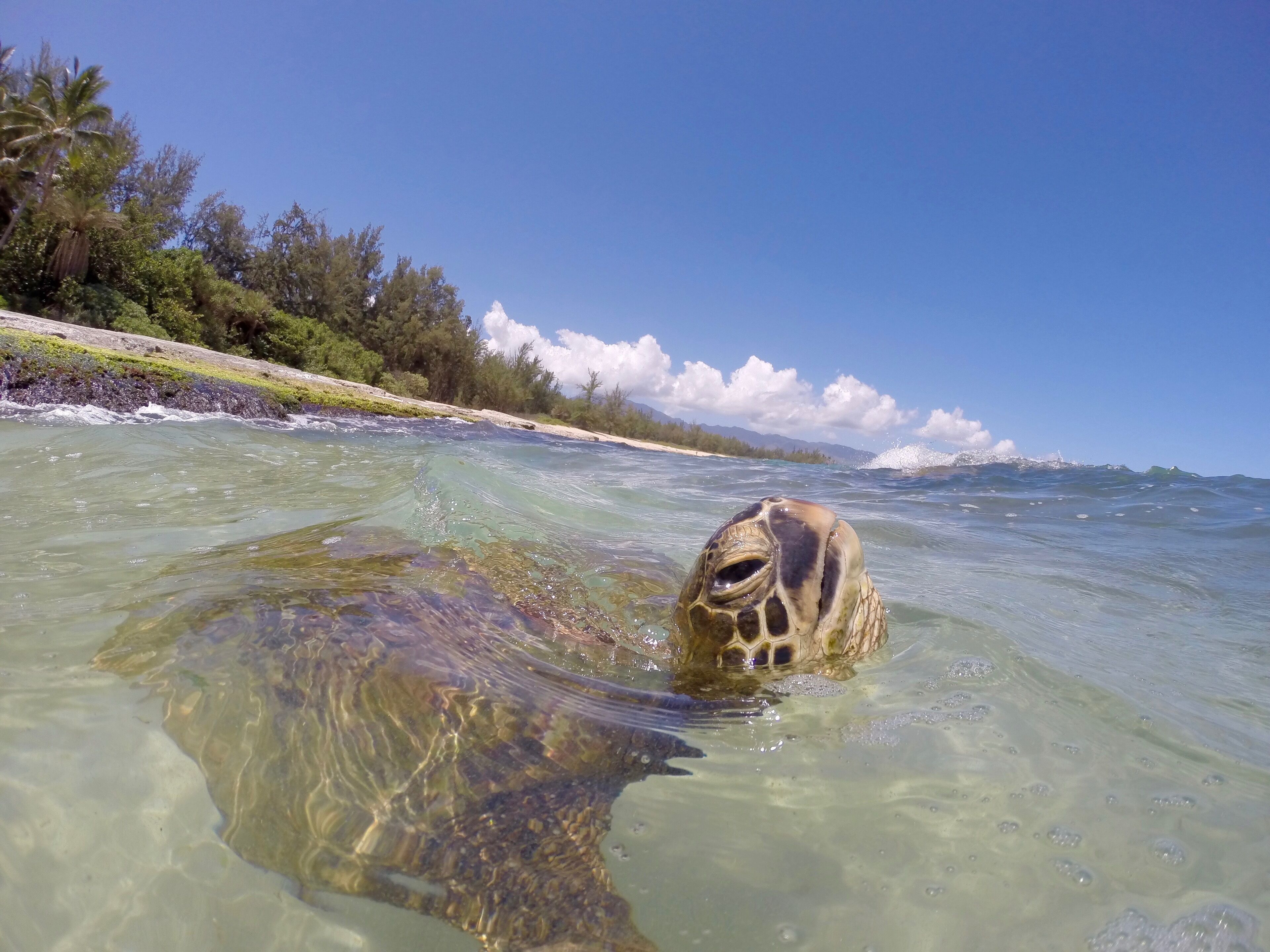 Ubicación a pie de playa, tumbonas y toallas de playa