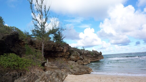 A beach with rocky cliffs and sparse vegetation.