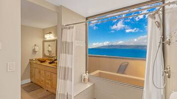 Combined shower/tub, hair dryer, towels