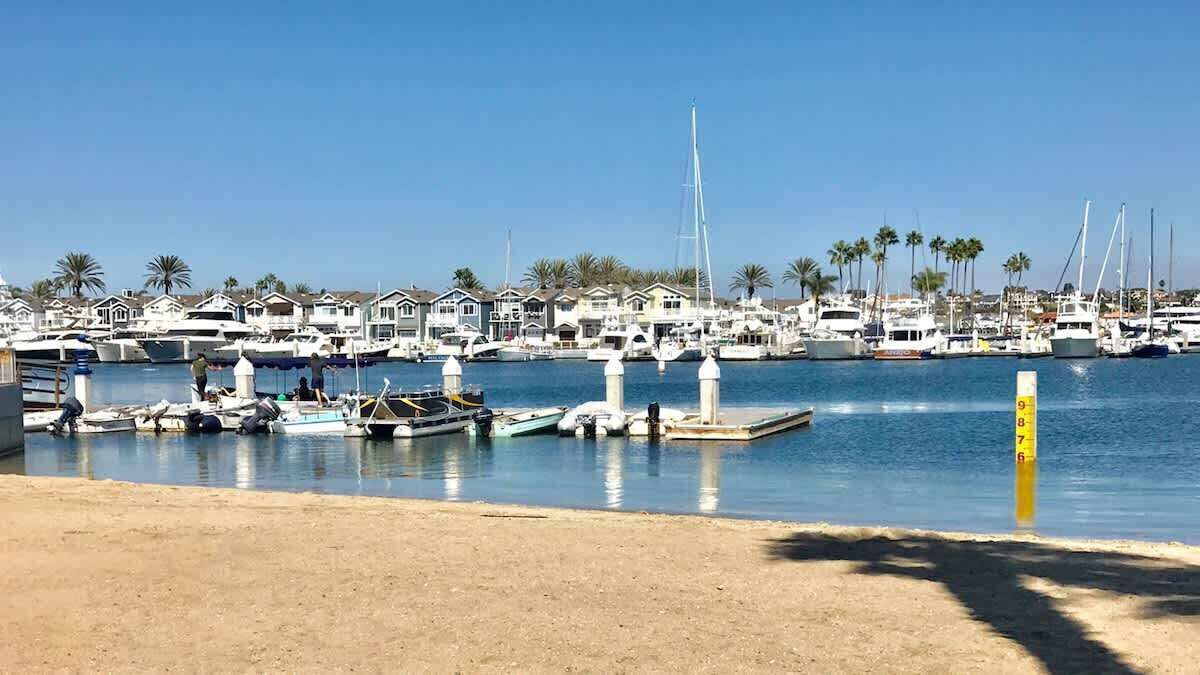 A marina with multiple boats docked, a clear sky, and a row of houses in the background.