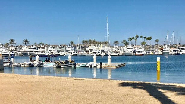 A marina with multiple boats docked, a clear sky, and a row of houses in the background.