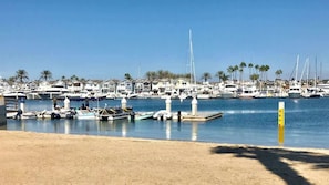 Un port de plaisance où sont amarrés de nombreux bateaux, un ciel dégagé et, au loin, une rangée de maisons.