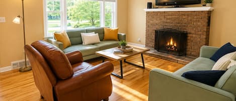 TV, fireplace, video-game console, DVD player