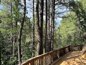 Property grounds - Peaceful Cabin on Munds Canyon with Open Forest from the Decks (Munds Park)