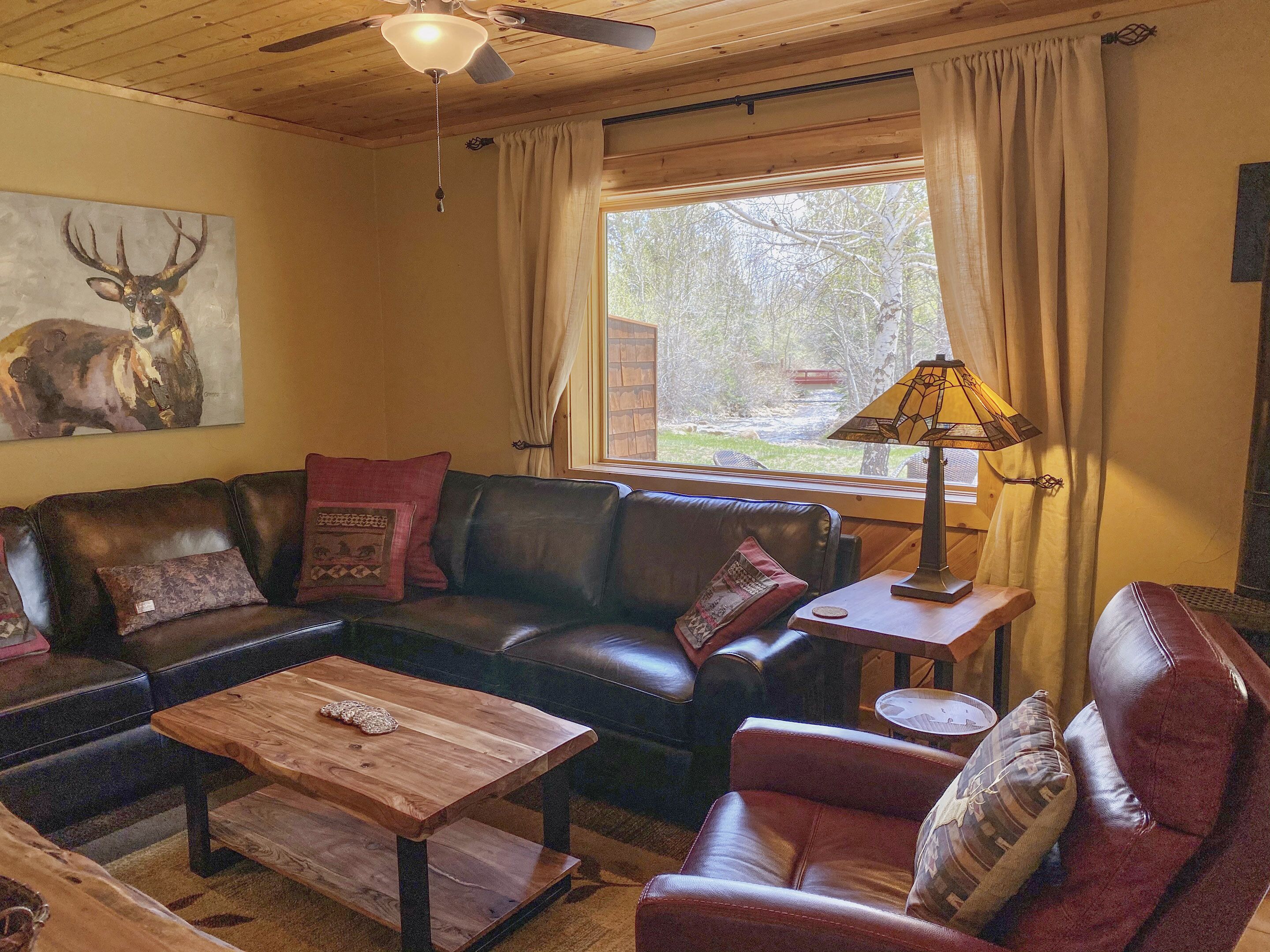 TV connectée, cheminée, livres