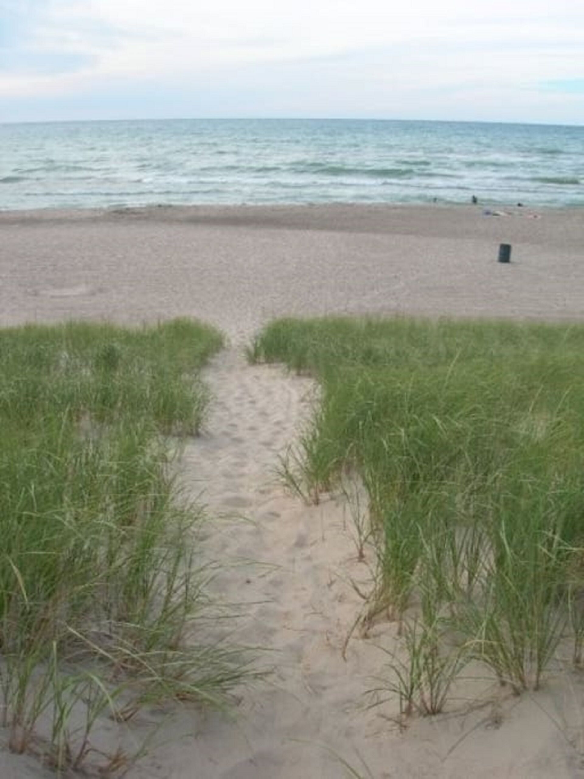 A sandy beach path leading to the ocean, with grass on either side.