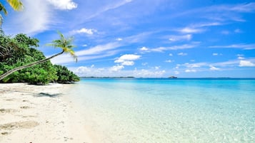 Beach | Beach nearby, sun-loungers, beach towels