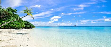 Beach | Beach nearby, sun loungers, beach towels