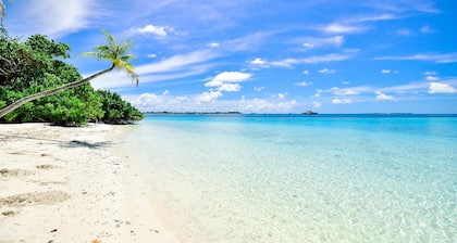 Urlaubsfreude! GemĂŒtliche Wohnung nur wenige Schritte vom Strand und St. Armands Kreis.