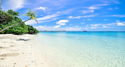 Urlaubsfreude! Gemütliche Wohnung nur wenige Schritte vom Strand und St. Armands Kreis. 