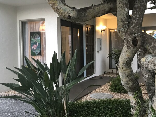A house with a large glass door, a small garden with plants, and a tree with a hole in the trunk.