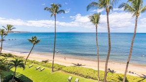 A beach view with palm trees, a clear sky, and a calm sea.