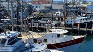 A marina with several boats docked, including one named 'Nicholas C.' and another 'Barbary Ann.'