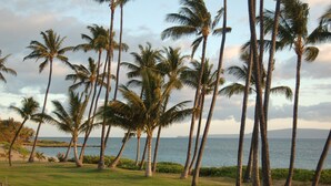 Un resort tropical con palmeras, una zona verde y vistas al océano.