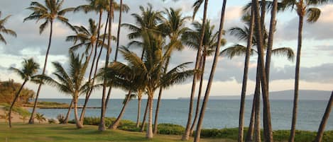 Un resort tropical con palmeras, una zona verde y vistas al océano.