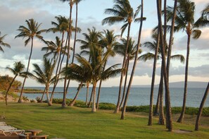 Property grounds - A quiet Maui 2BR condo hideaway ON THE BEACH at Central Kihei (Kihei)