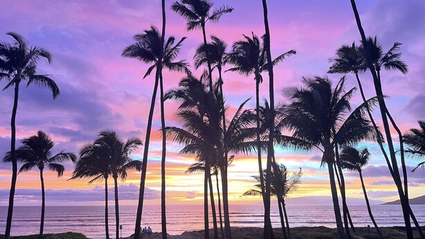 Una playa con palmeras y un atardecer sobre el océano.