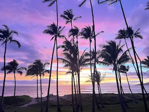 Ein Strand mit Palmen und einem Sonnenuntergang über dem Ozean.