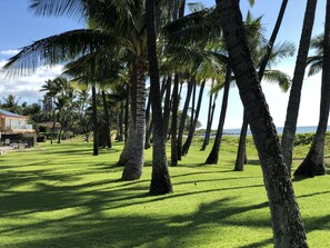Property grounds - A quiet Maui 2BR condo hideaway ON THE BEACH at Central Kihei (Kihei)