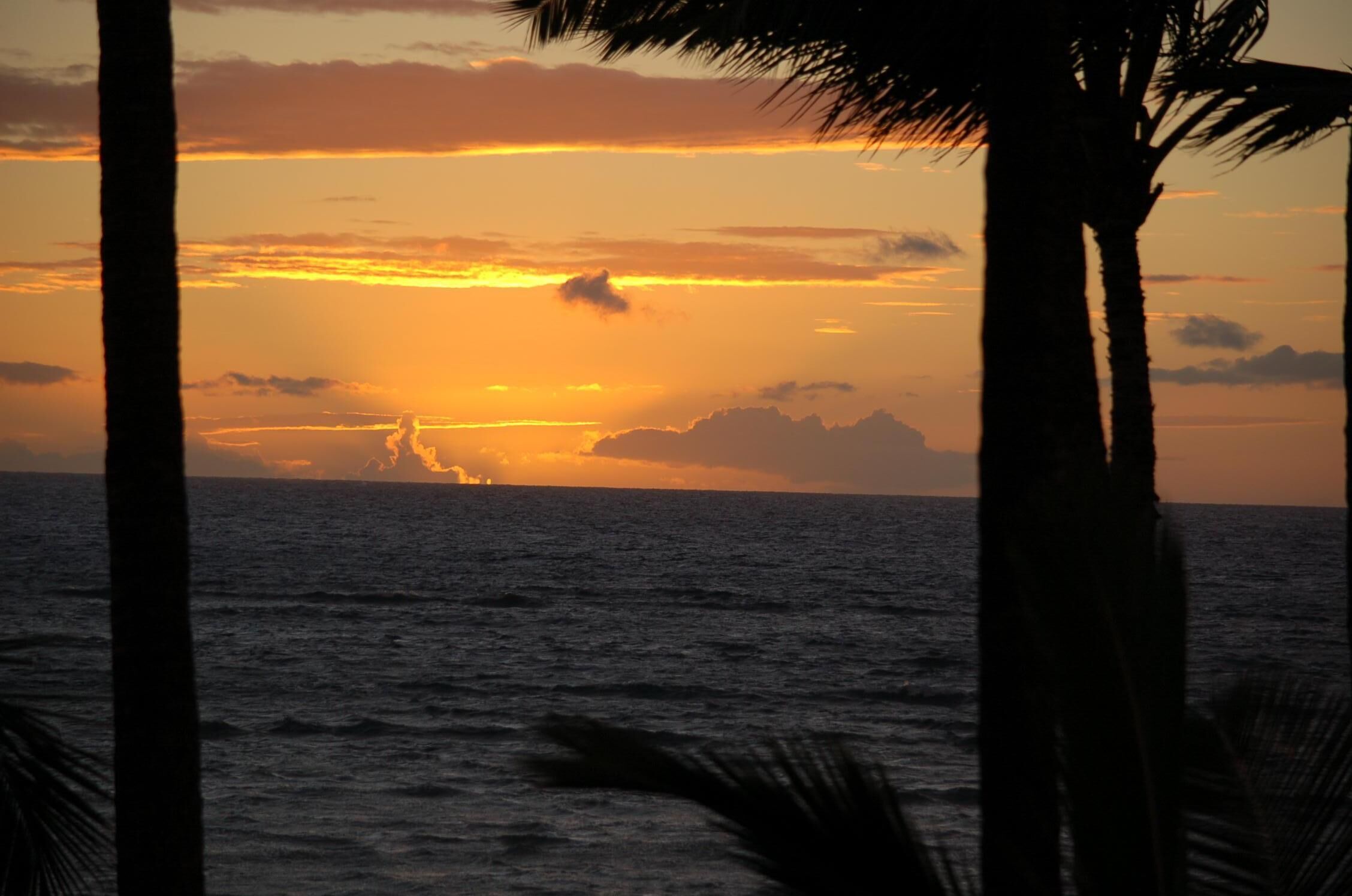 A sunset over the ocean with silhouettes of palm trees.