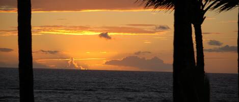 A sunset over the ocean with silhouettes of palm trees.