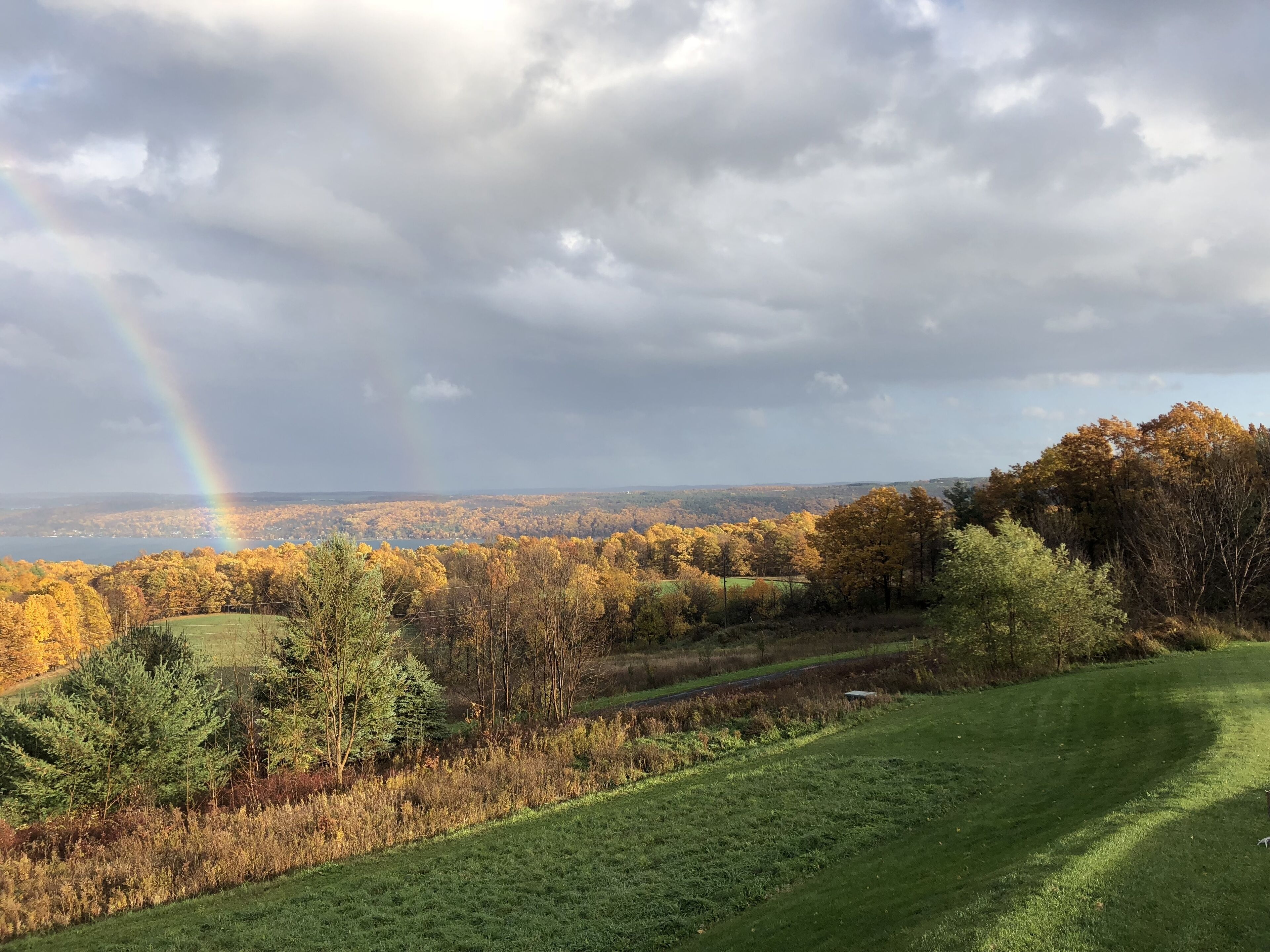 Eine Landschaft mit Regenbogen, Herbstbäumen und einem grasbewachsen Feld.