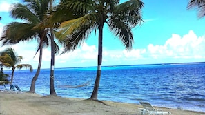Plage, chaises longues, serviettes de plage